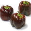เมล็ดพันธุ์พริกหวานสีช็อคโกแลต Chocolate Sweet Pepper 20-25 เมล็ด