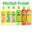 Herbal fresh แชมพูสุนัข Herbal Fresh แชมพูสมุนไพร