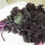 เมล็ดพันธุ์ คะน้าใบหยัก kale purple 20 เมล็ด