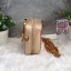 CHARLES & KEITH ROSE EMBROIDERY SLING BAG