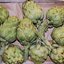 หัวปลีฝรั่ง หรือ อะติโช๊ค สีเขียว Artichoke - Green Globe 10 เมล็ด
