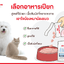 Royal Canin อาหารเปียก สูตรแมวโต ดูแลปัญหาเฉพาะ 85 กรัมX12 ซอง