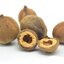 ผงสมอพิเภก 100% (Bibhitaki Terminalia Belerica Powder)
