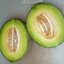 เมล่อนเนื้อเขียว กรีน นัทแมก Melon Green Nutmeg 10 เมล็ด