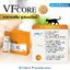 VF+Core(วีเอฟพลัสคอร์) อาหารเสริม แมว หมา VFcore ขนมแมวเลีย ขนมหมาเลีย ยกกล่อง 30 ซอง