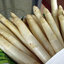 เมล็ดพันธุ์หน่อไม้ฝรั่งสีขาว White Asparagus 20 เมล็ด