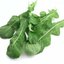 เมล็ดผักสลัด Arugula Rocket 200 เมล็ด